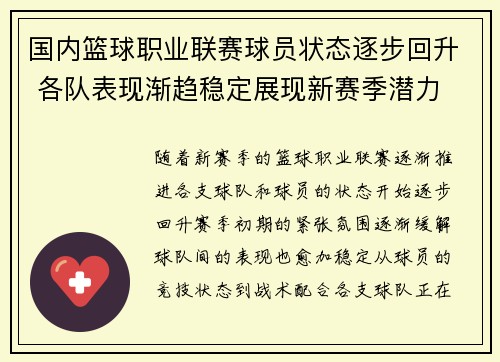 国内篮球职业联赛球员状态逐步回升 各队表现渐趋稳定展现新赛季潜力
