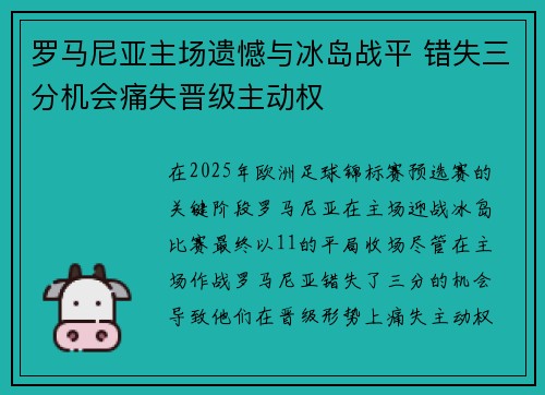 罗马尼亚主场遗憾与冰岛战平 错失三分机会痛失晋级主动权